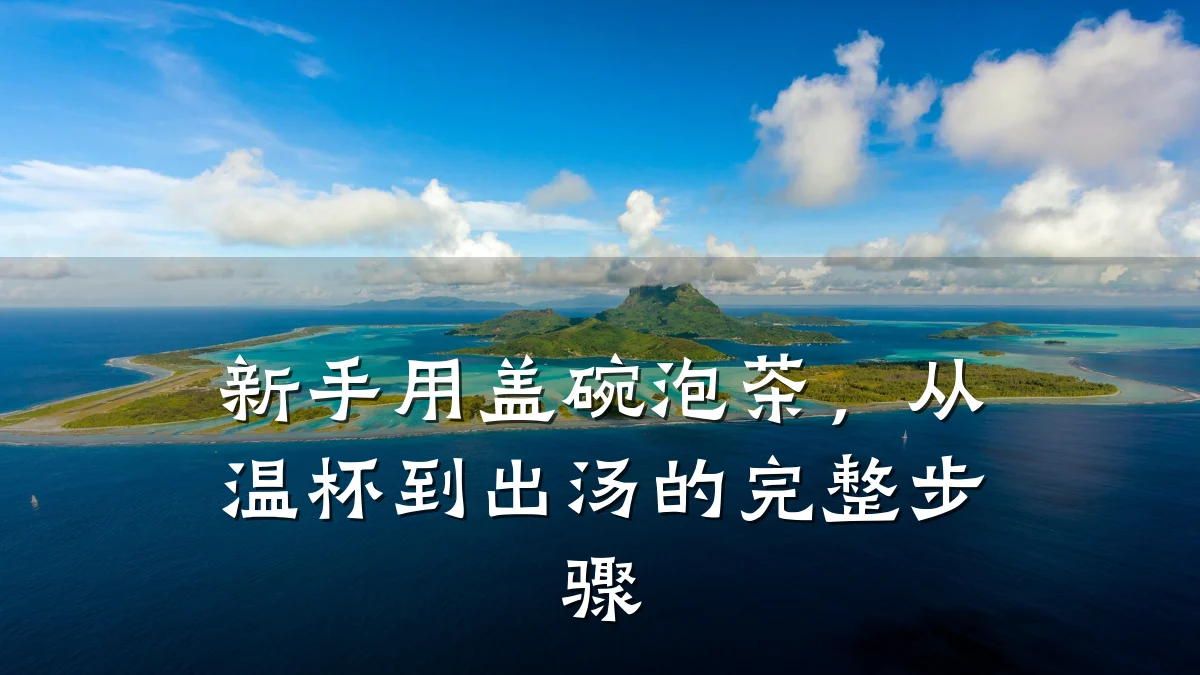 新手用盖碗泡茶,从温杯到出汤的完整步骤