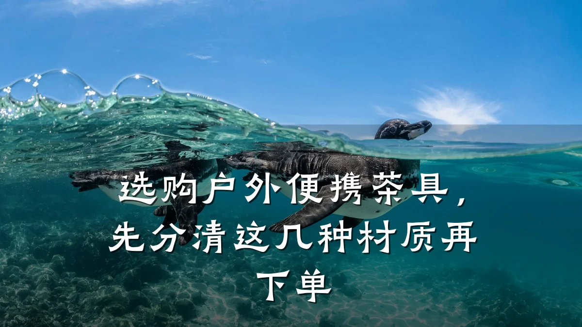 选购户外便携茶具,先分清这几种材质再下单