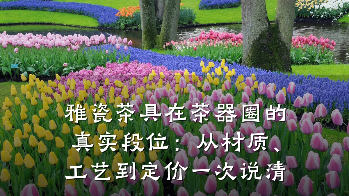 雅瓷茶具在茶器圈的真实段位:从材质、工艺到定价一次说清