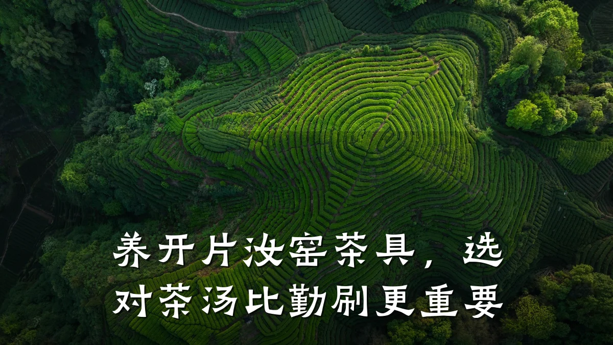 养开片汝窑茶具，选对茶汤比勤刷更重要