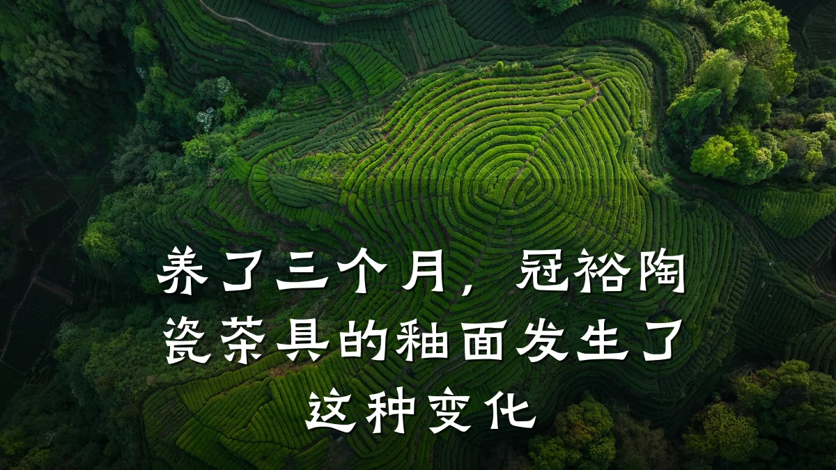 养了三个月,冠裕陶瓷茶具的釉面发生了这种变化