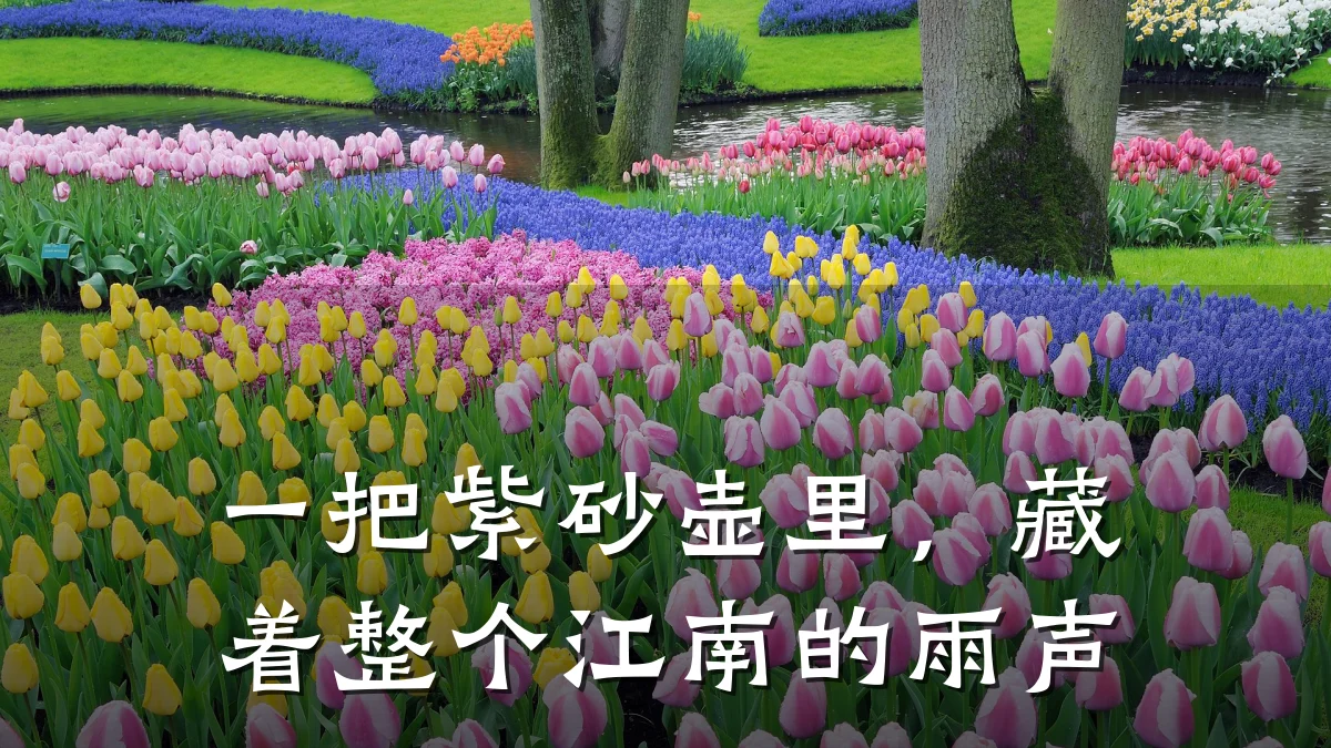 一把紫砂壶里,藏着整个江南的雨声