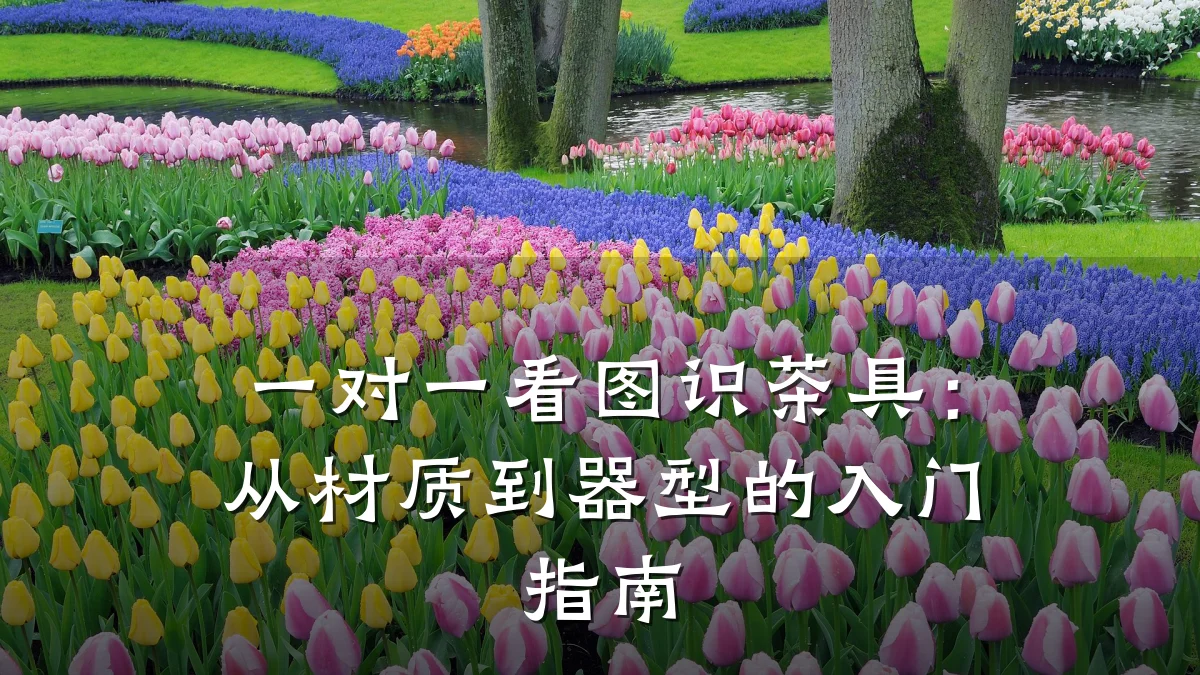 一对一看图识茶具:从材质到器型的入门指南