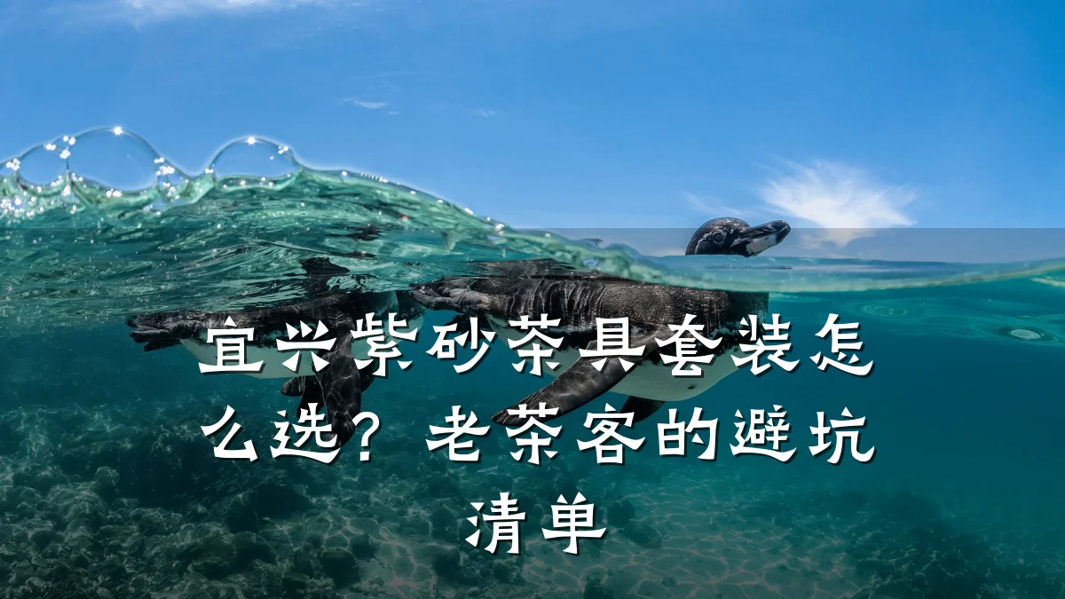 宜兴紫砂茶具套装怎么选?老茶客的避坑清单