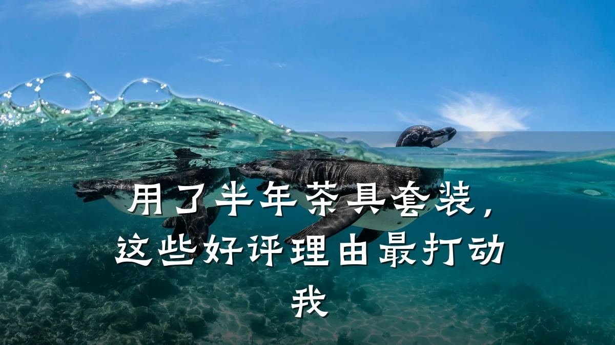 用了半年茶具套装,这些好评理由最打动我