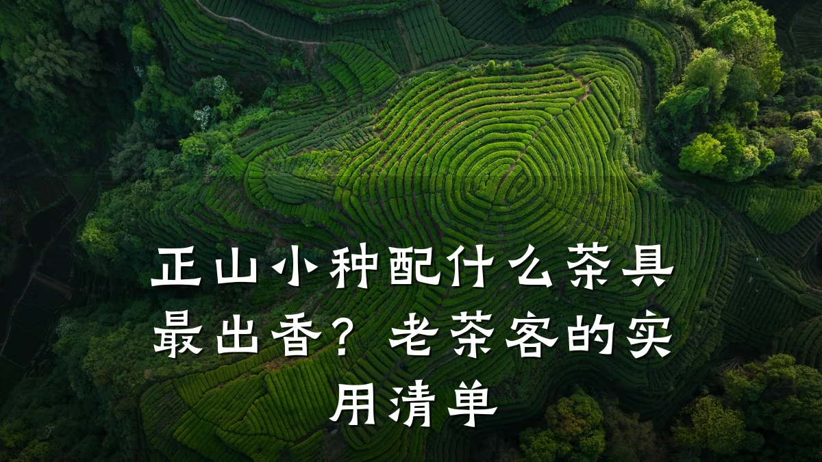 正山小种配什么茶具最出香?老茶客的实用清单
