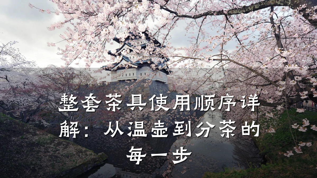 整套茶具使用顺序详解:从温壶到分茶的每一步