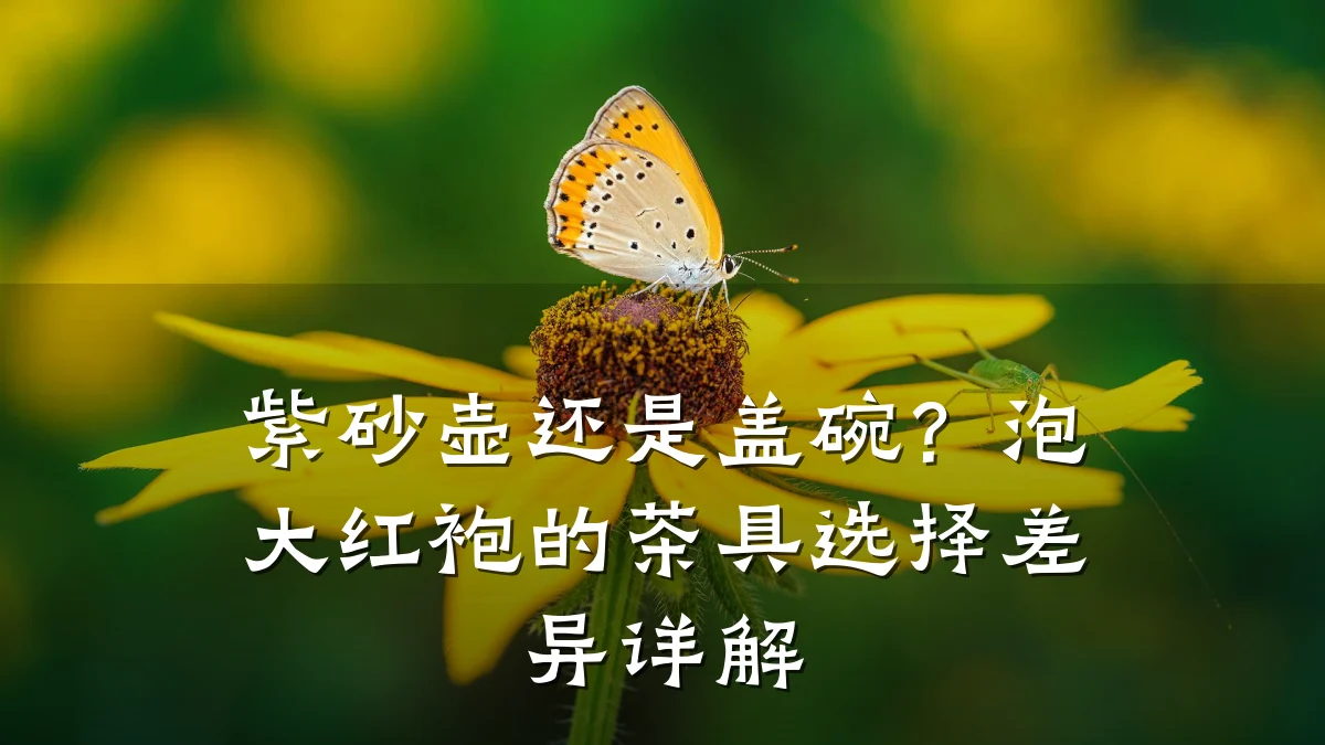 紫砂壶还是盖碗?泡大红袍的茶具选择差异详解