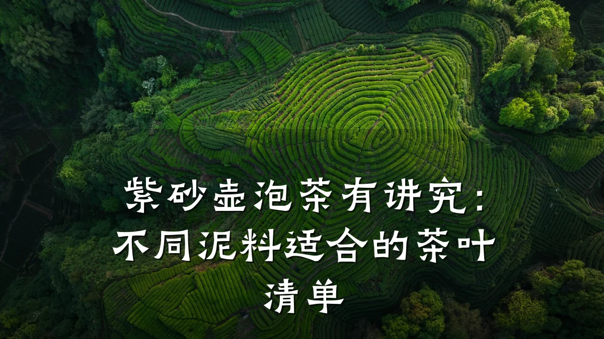紫砂壶泡茶有讲究:不同泥料适合的茶叶清单